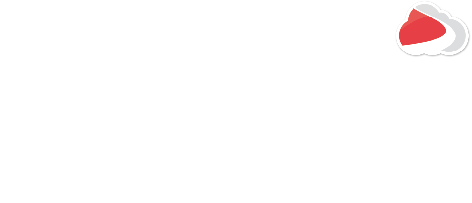 imagotipo (texto y nube) - blanco - con Dealership Management Systems